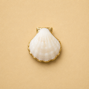 Gilded Edge Shell