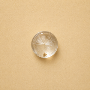 Wishing Dandelion Charm